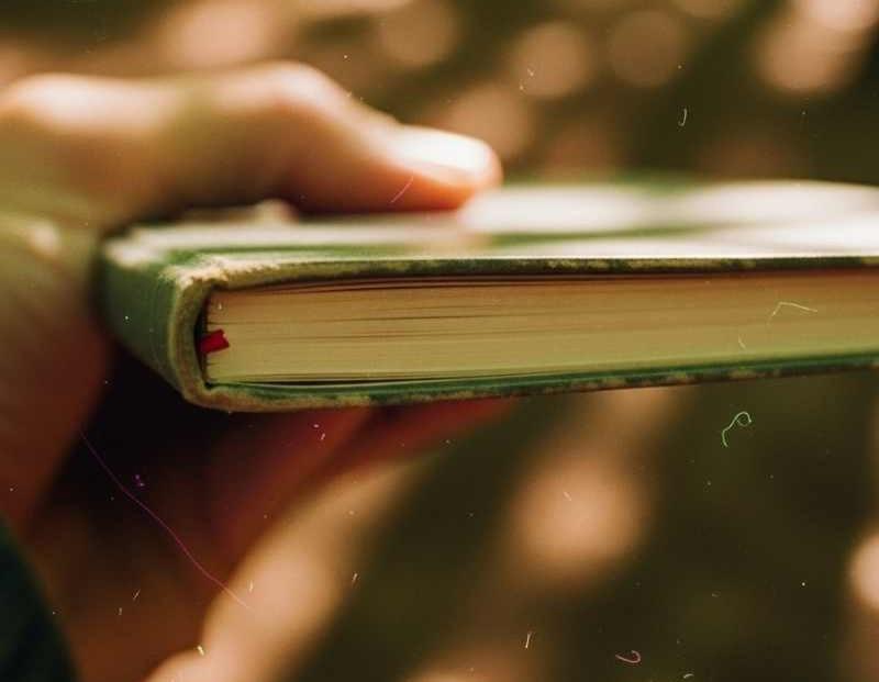 Detalle de un cuaderno sostenido con luz del bosque filtrándose detrás.